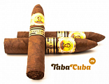 Bolivar Petit Belicosos Limited Edition 2009