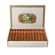 Saint Luis Rey Serie A