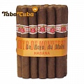 Hoyo de Monterrey Le Hoyo Du Maire