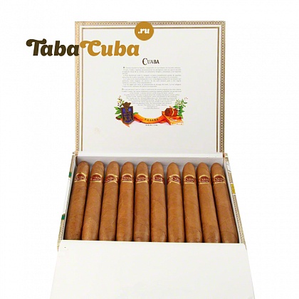 Cuaba Salomones