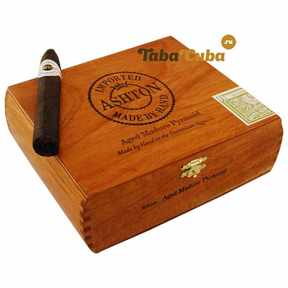 Ashton Aged Maduro Pyramid
