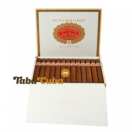 Hoyo de Monterrey Palmas Extra