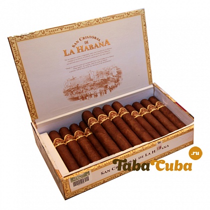 San Cristobal La Fuerza