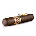 Arturo Fuente Don Carlos Robusto
