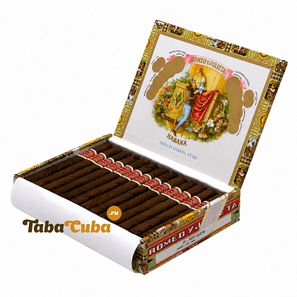 Romeo y Julieta Petit Julieta