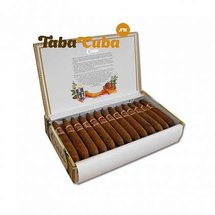 Cuaba Tradicionales