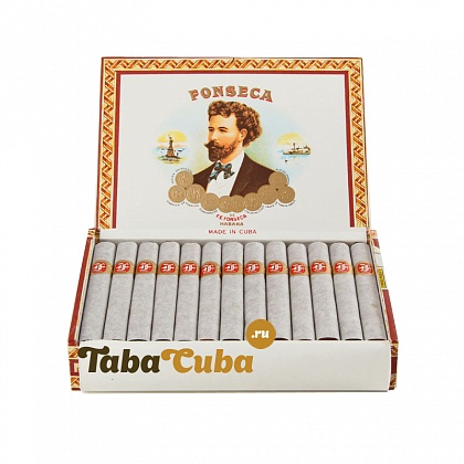 Fonseca KDT Cadetes